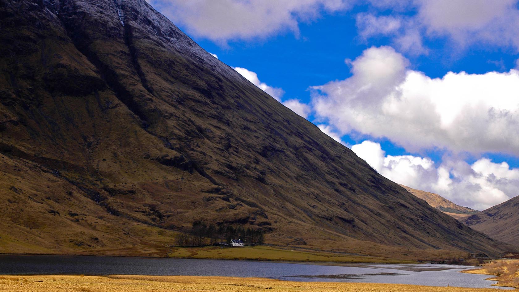 Landscape — 7
